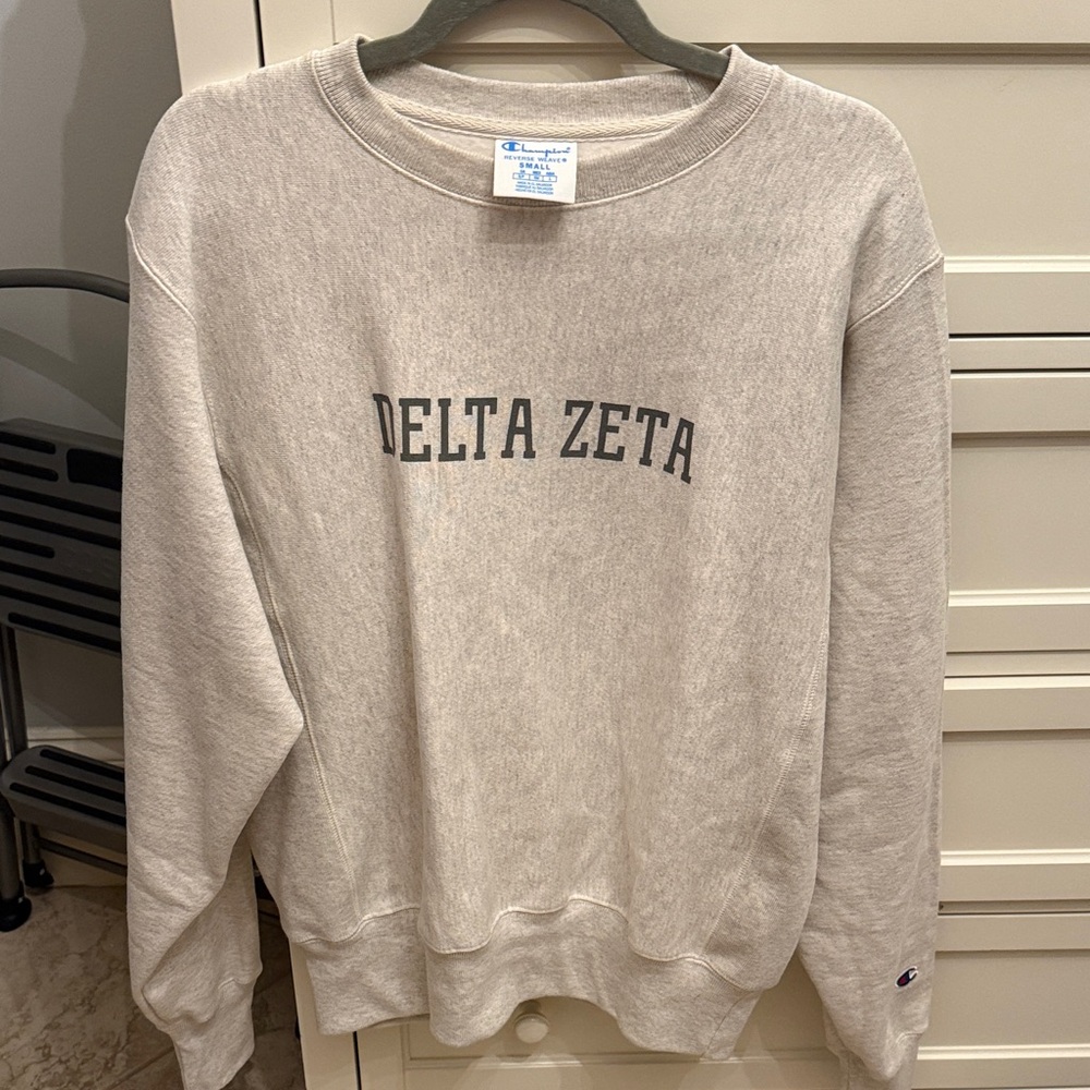 Champion Delta Zeta Men's Crewneck Sweater - Gray